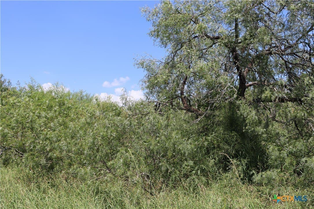 50.94 acres in San Patricio County - photo 22