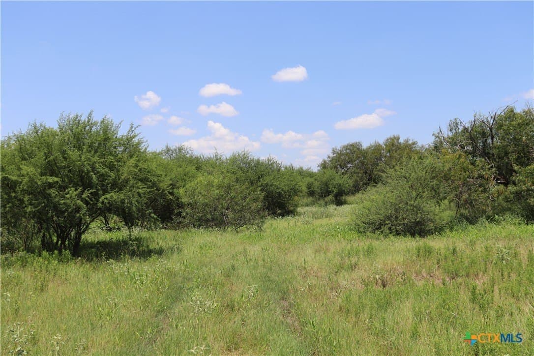 50.94 acres in San Patricio County - photo 17