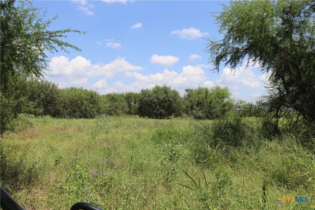 50.94 acres in San Patricio County - photo 14