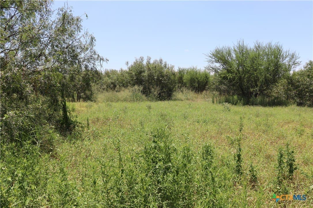 50.94 acres in San Patricio County - photo 15