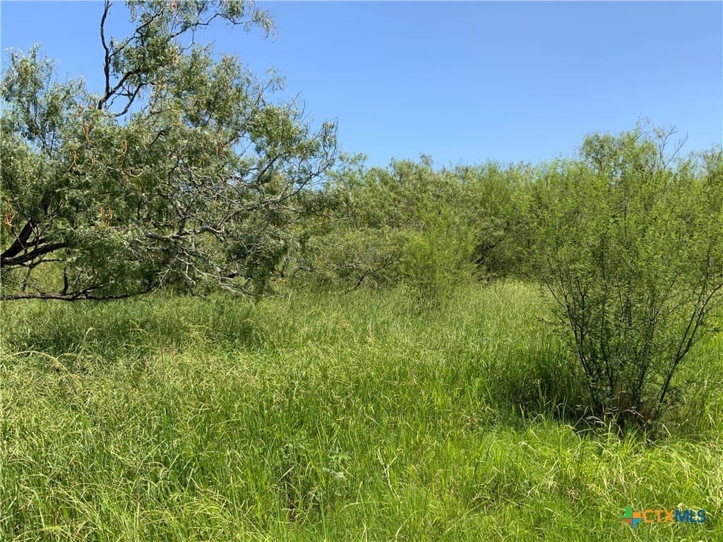 50.94 acres in San Patricio County - photo 9