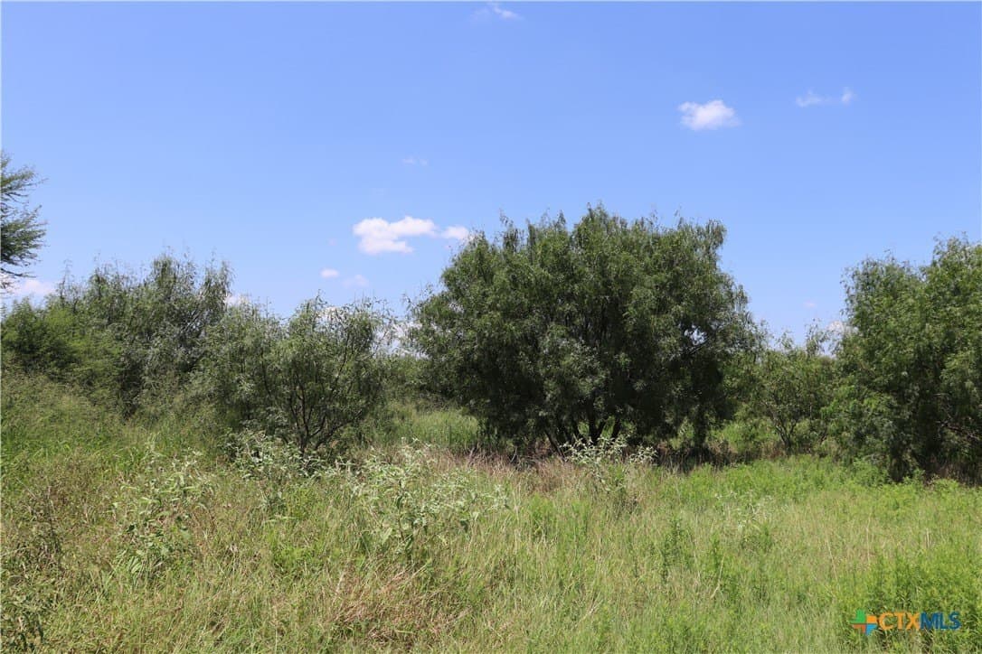 50.94 acres in San Patricio County - photo 21