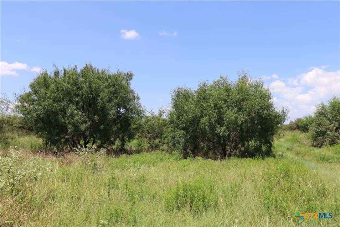 50.94 acres in San Patricio County - photo 20