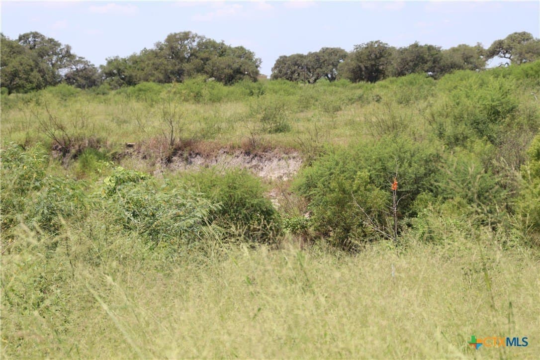 50.94 acres in San Patricio County - photo 18