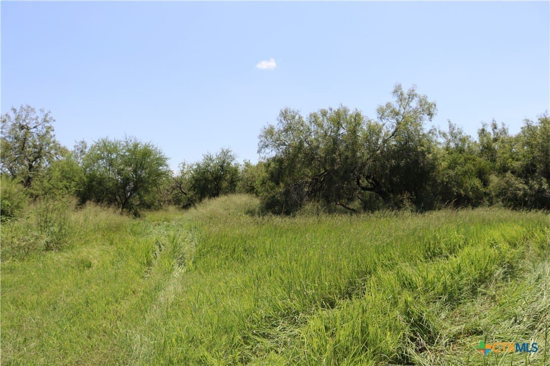 50.94 acres in San Patricio County - photo 23