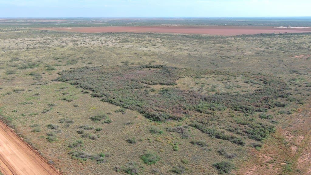 40 acres in Martin County - photo 4