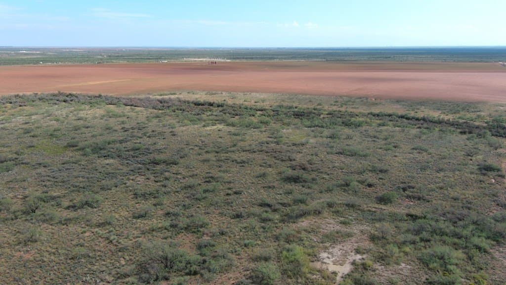 40 acres in Martin County - photo 10