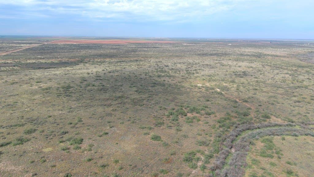 40 acres in Martin County - photo 8