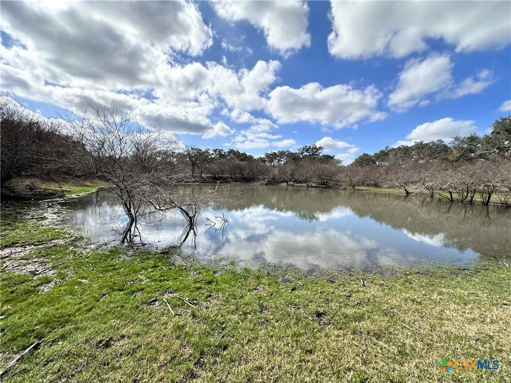 450 acres in Goliad County - photo 17