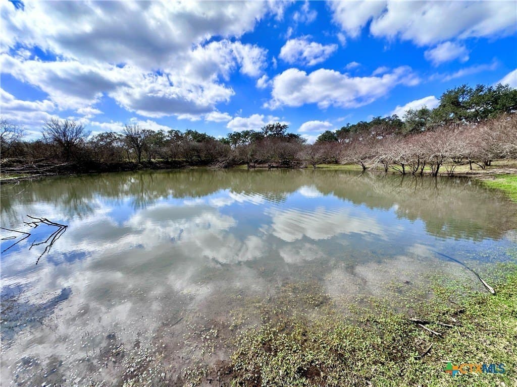 450 acres in Goliad County - photo 20