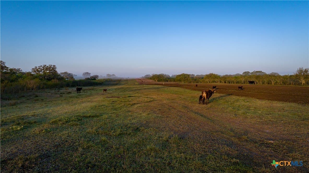 450 acres in Goliad County - photo 11