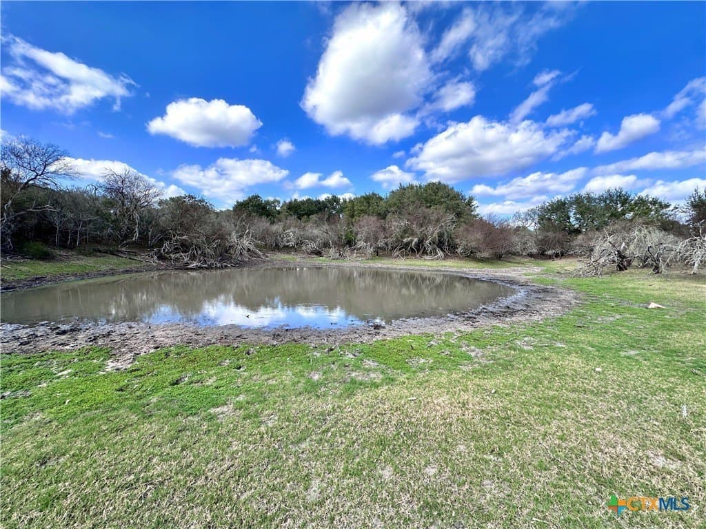 450 acres in Goliad County - photo 21