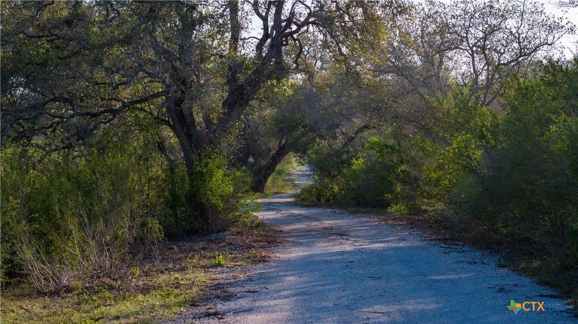 450 acres in Goliad County - photo 46