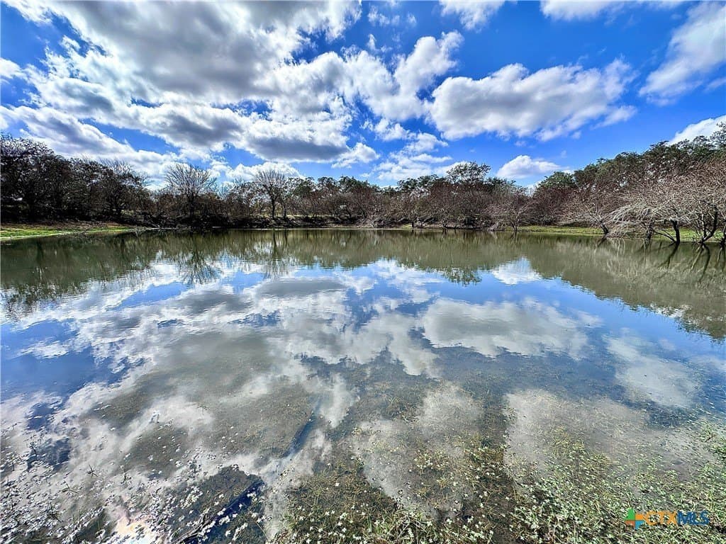 450 acres in Goliad County - photo 18