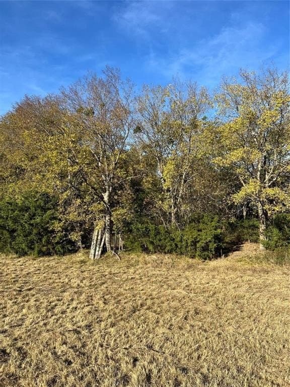 9.44 acres in Delta County - photo 16
