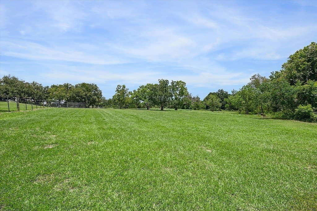 5 acres in Austin County - photo 5