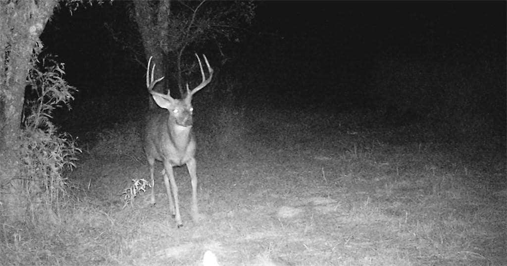 16.08 acres in Navarro County - photo 32