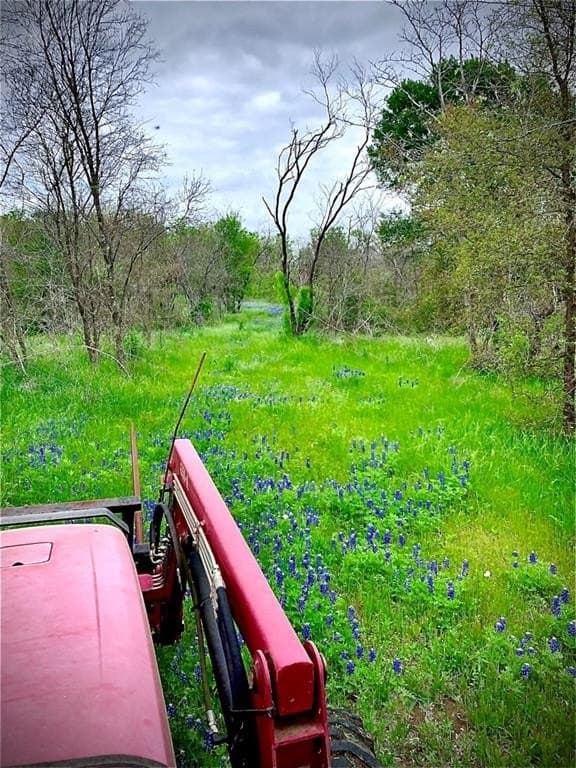 16.08 acres in Navarro County - photo 25