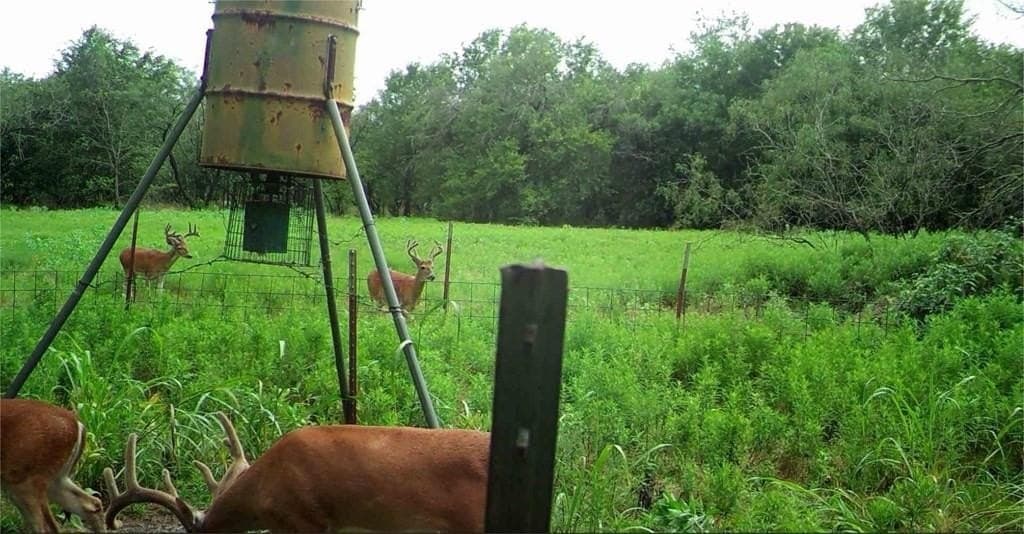 16.08 acres in Navarro County - photo 26