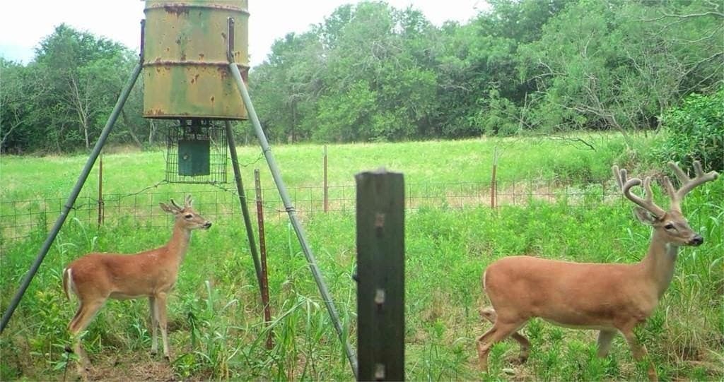 16.08 acres in Navarro County - photo 17