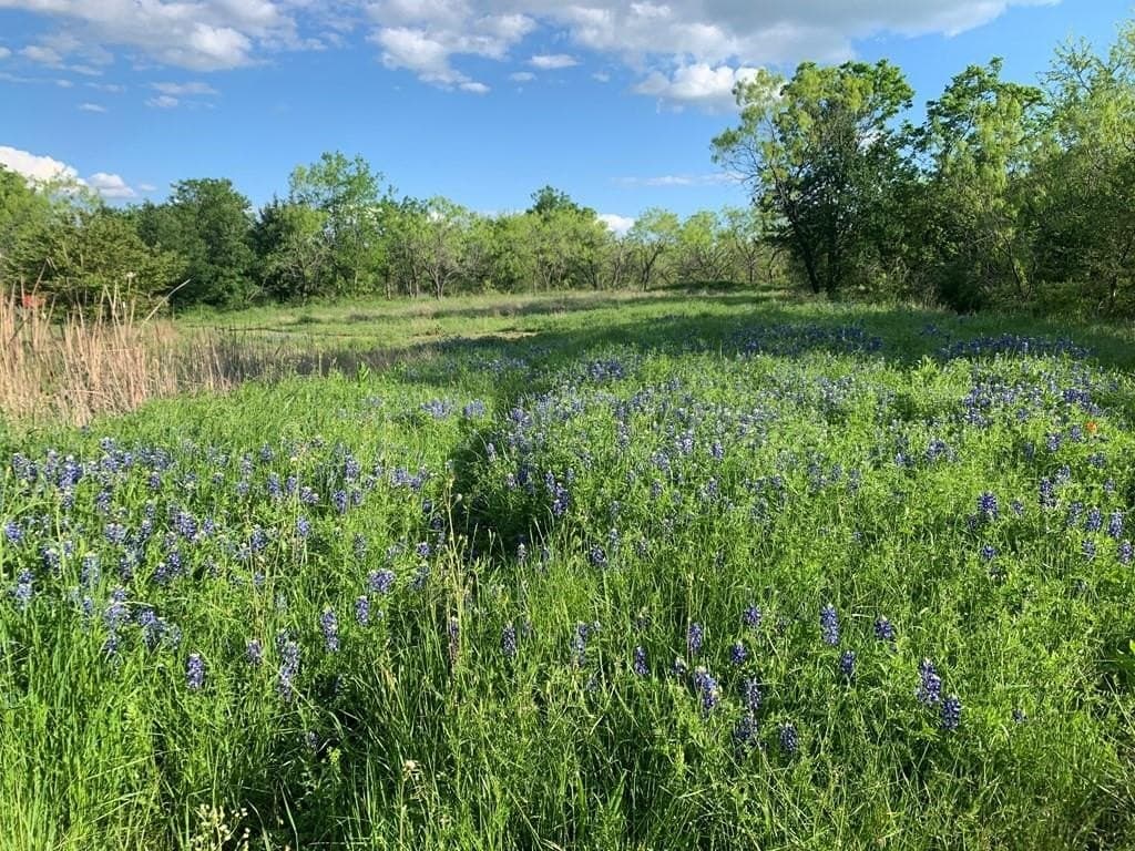 16.08 acres in Navarro County - photo 21