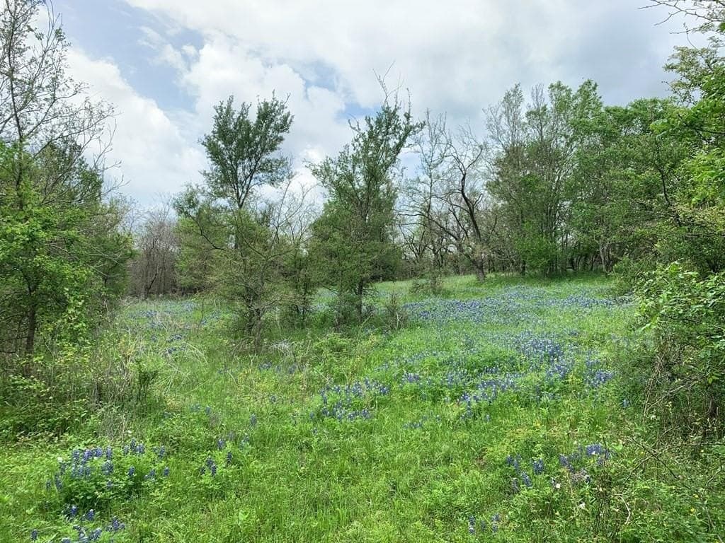 16.08 acres in Navarro County - photo 20