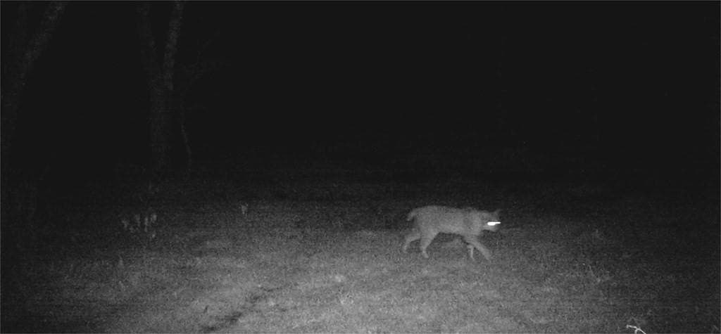 16.08 acres in Navarro County - photo 37