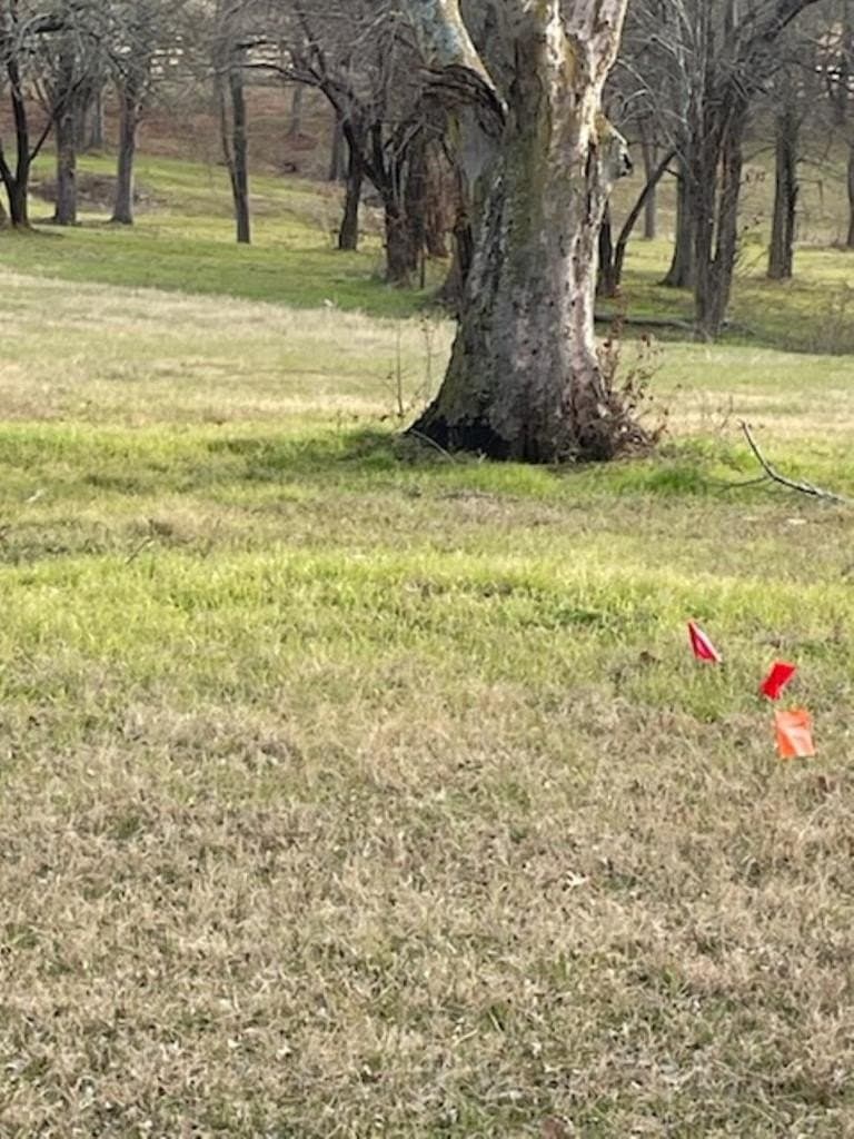 2.53 acres in Henderson County - photo 11