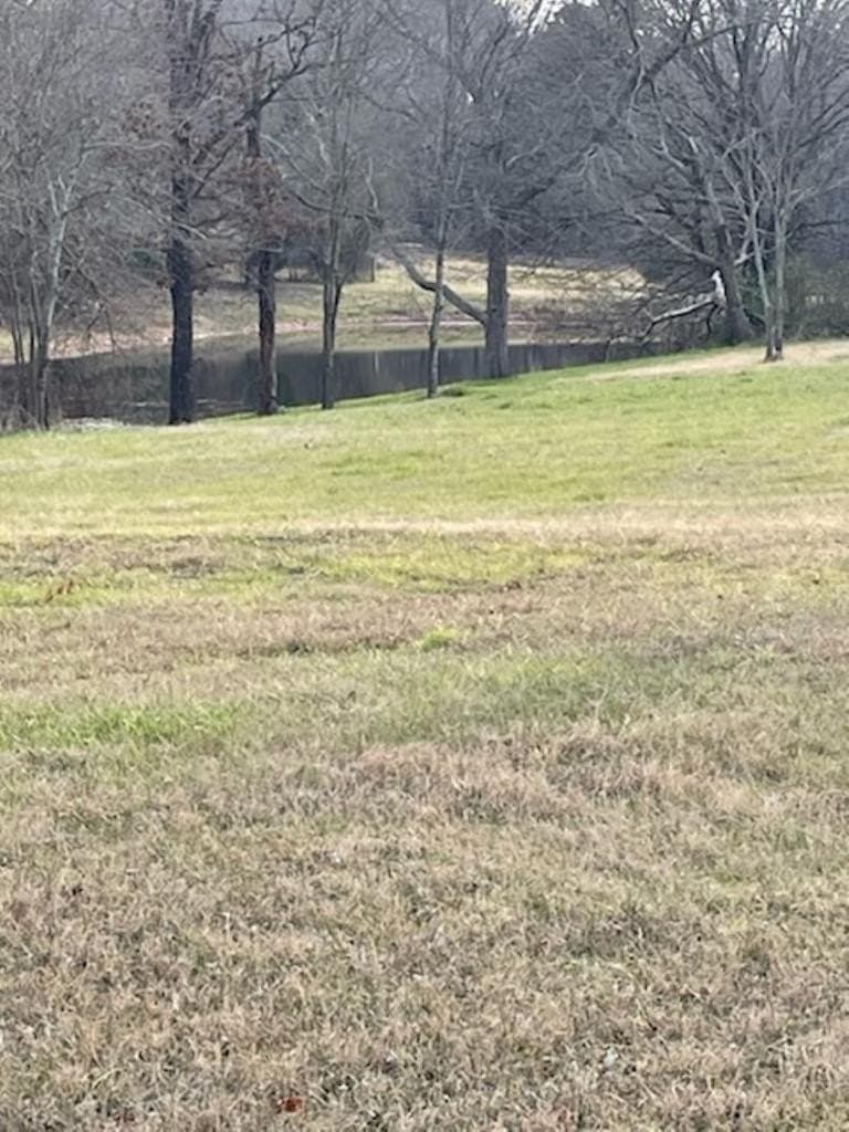 2.53 acres in Henderson County - photo 4