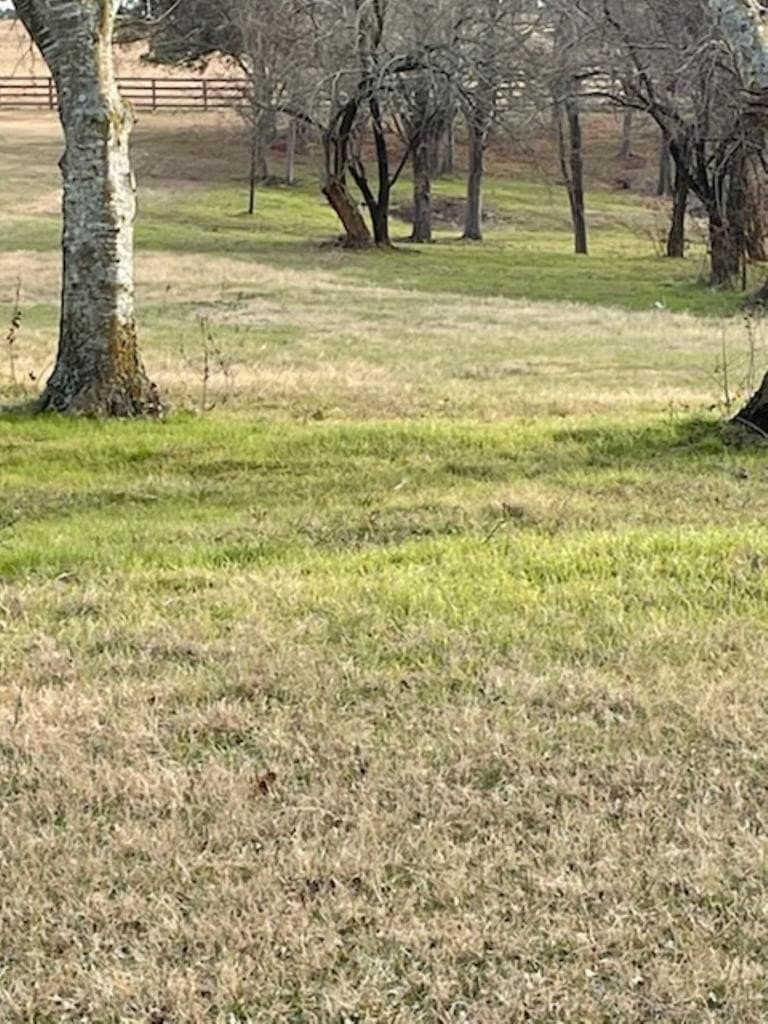 2.53 acres in Henderson County - photo 6