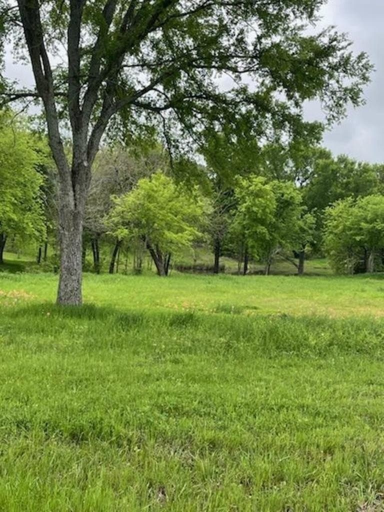 2.53 acres in Henderson County - photo 3