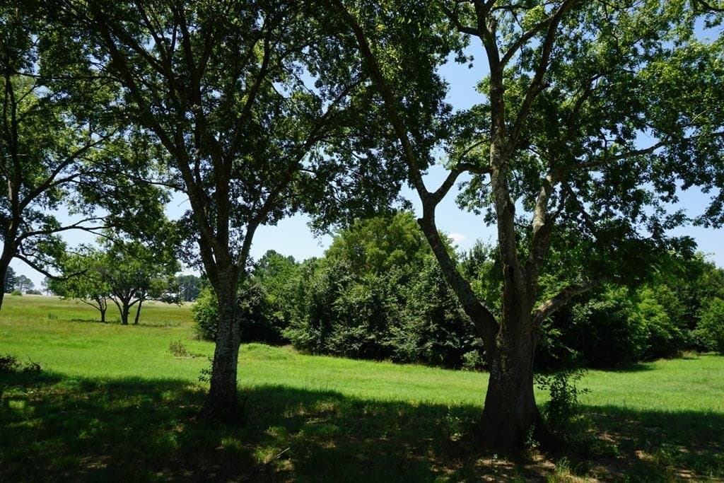 2.53 acres in Henderson County - photo 13