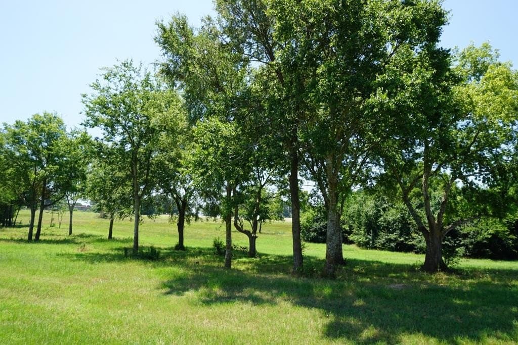 2.53 acres in Henderson County - photo 12