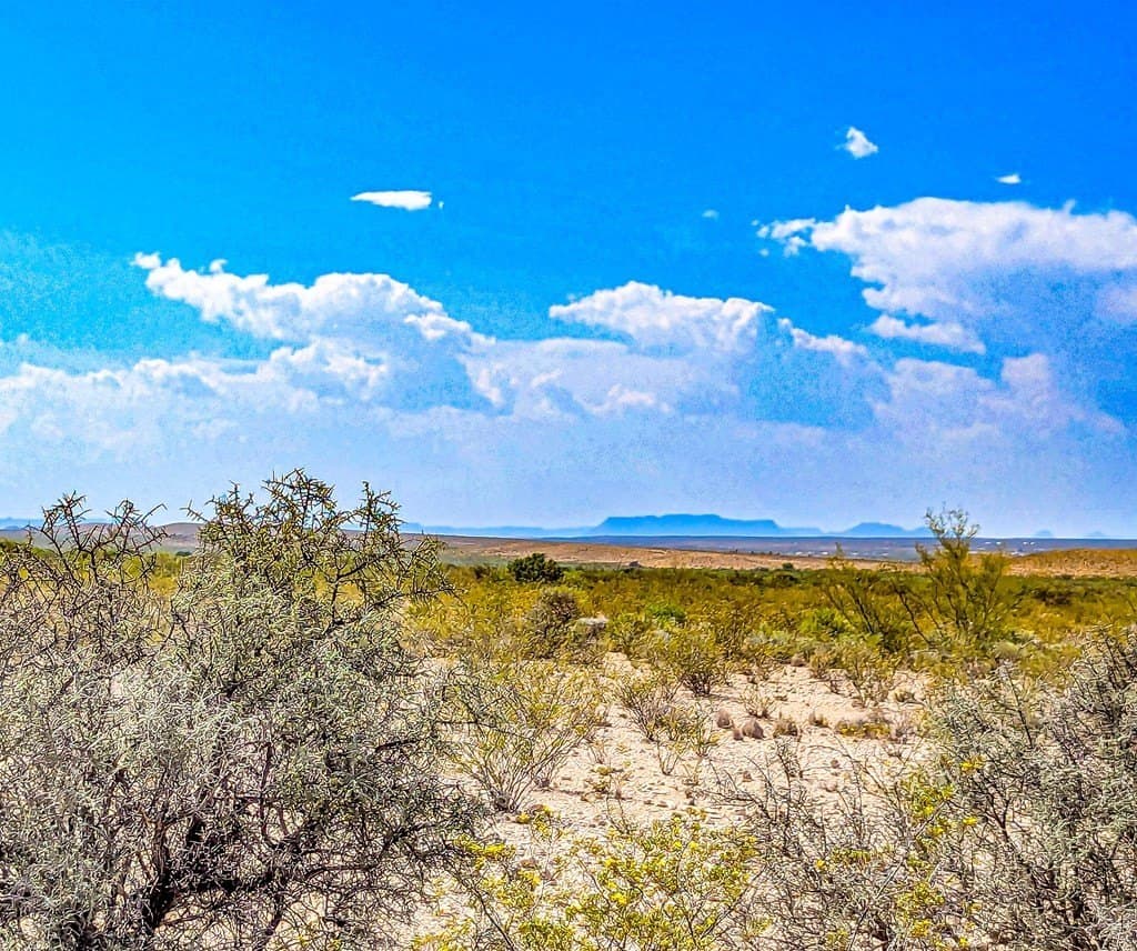 20 acres in Brewster County - photo 15