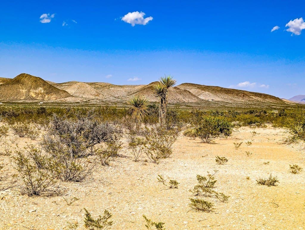 20 acres in Brewster County - photo 17