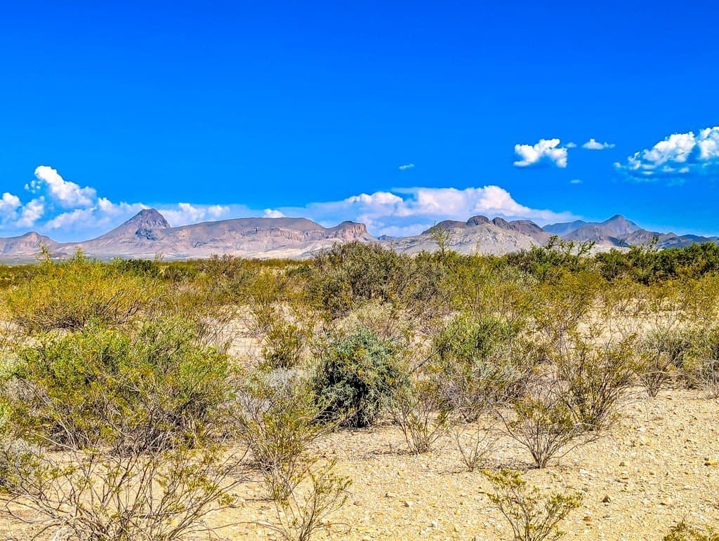 20 acres in Brewster County - photo 16