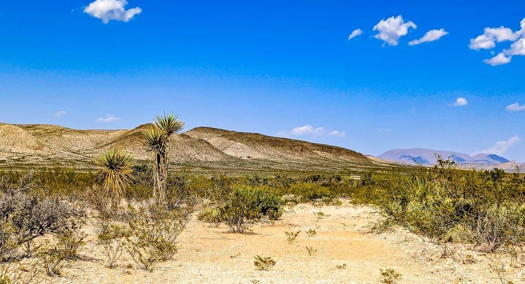 20 acres in Brewster County - photo 6