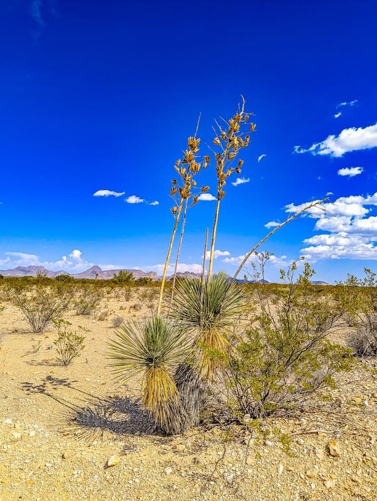 20 acres in Brewster County - photo 18