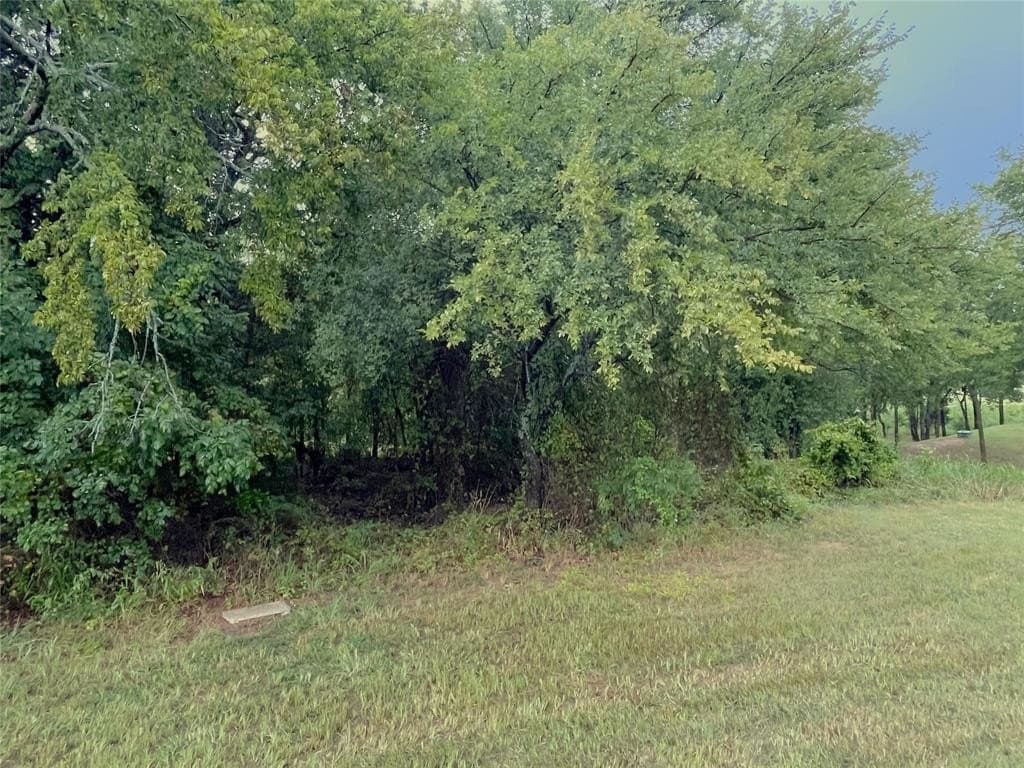 0.51 acres in Grayson County - photo 2