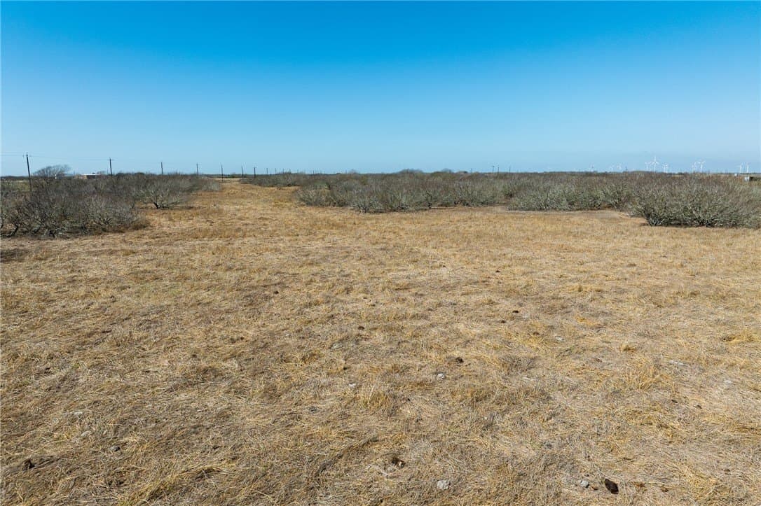 28.3 acres in San Patricio County - photo 2