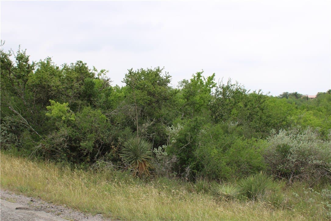 0.24 acres in Live Oak County - photo 3