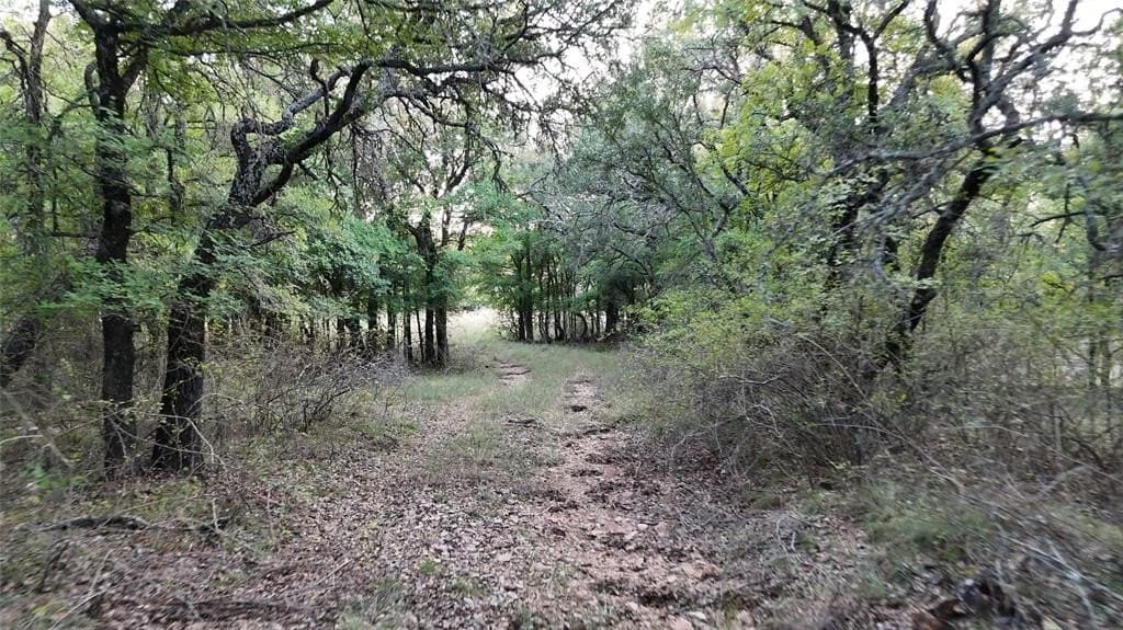 255.24 acres in Comanche County - photo 29