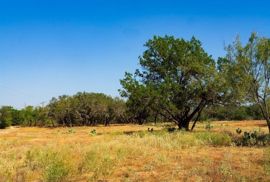 40 acres in Travis County - photo 15