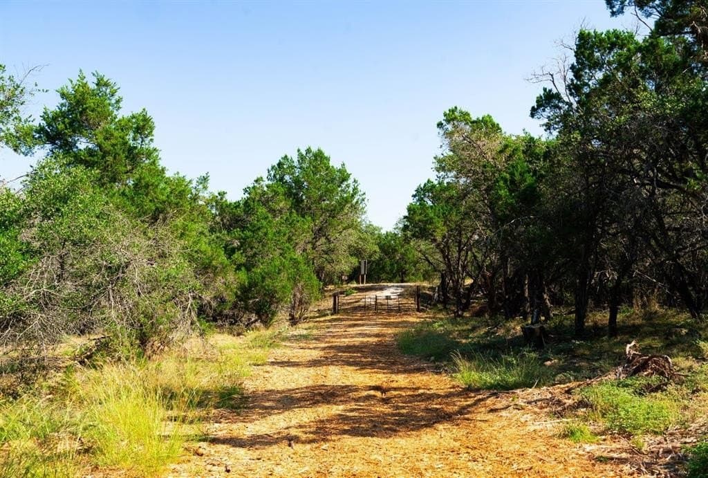 40 acres in Travis County - photo 22