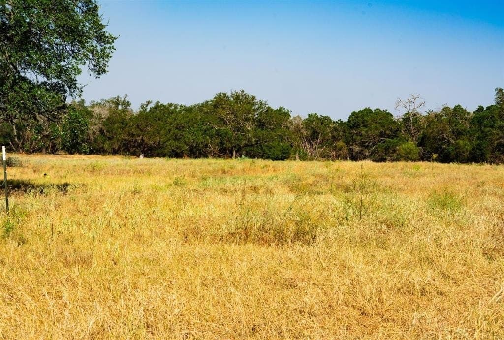 40 acres in Travis County - photo 18