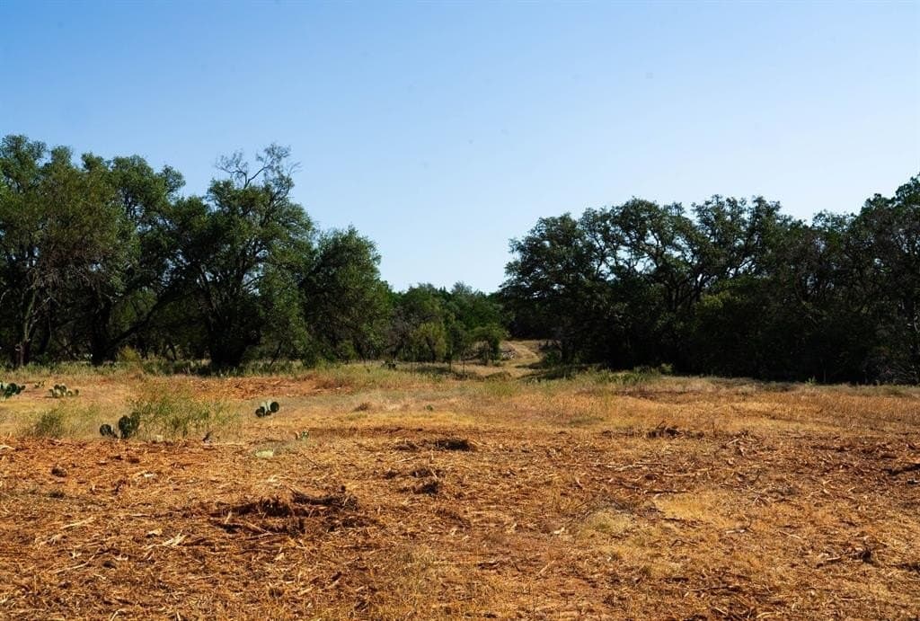 40 acres in Travis County - photo 17