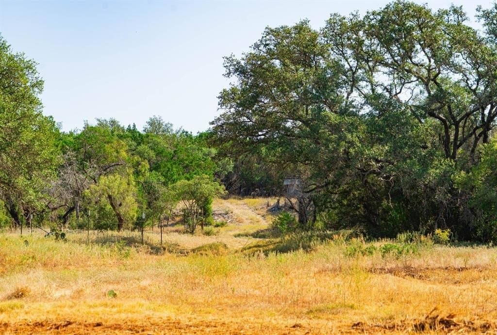 40 acres in Travis County - photo 6