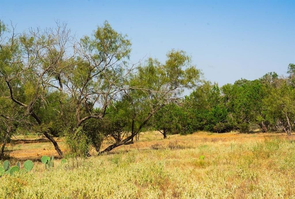40 acres in Travis County - photo 14