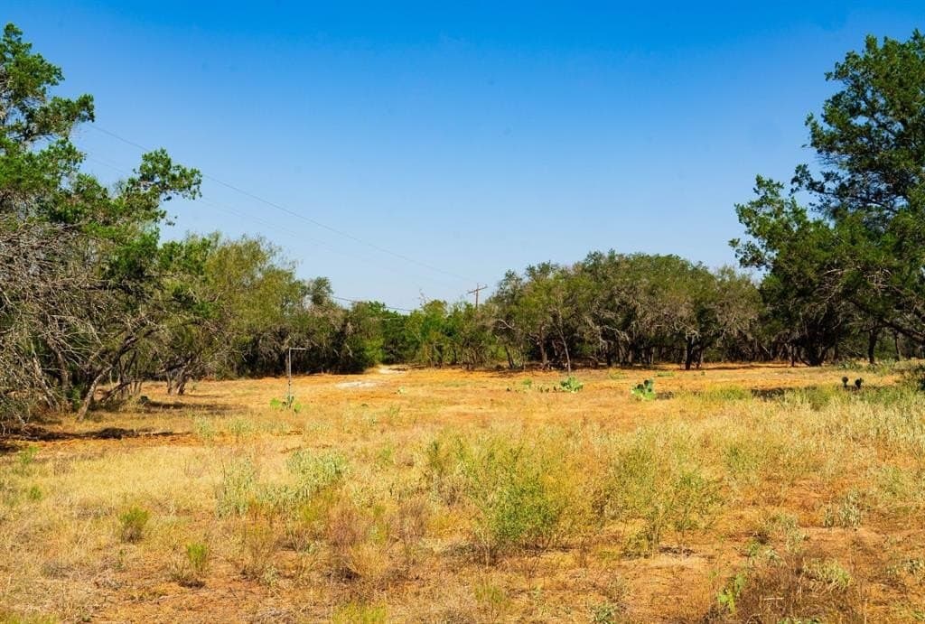 40 acres in Travis County - photo 16