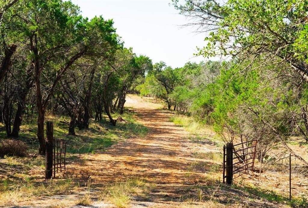 40 acres in Travis County - photo 2